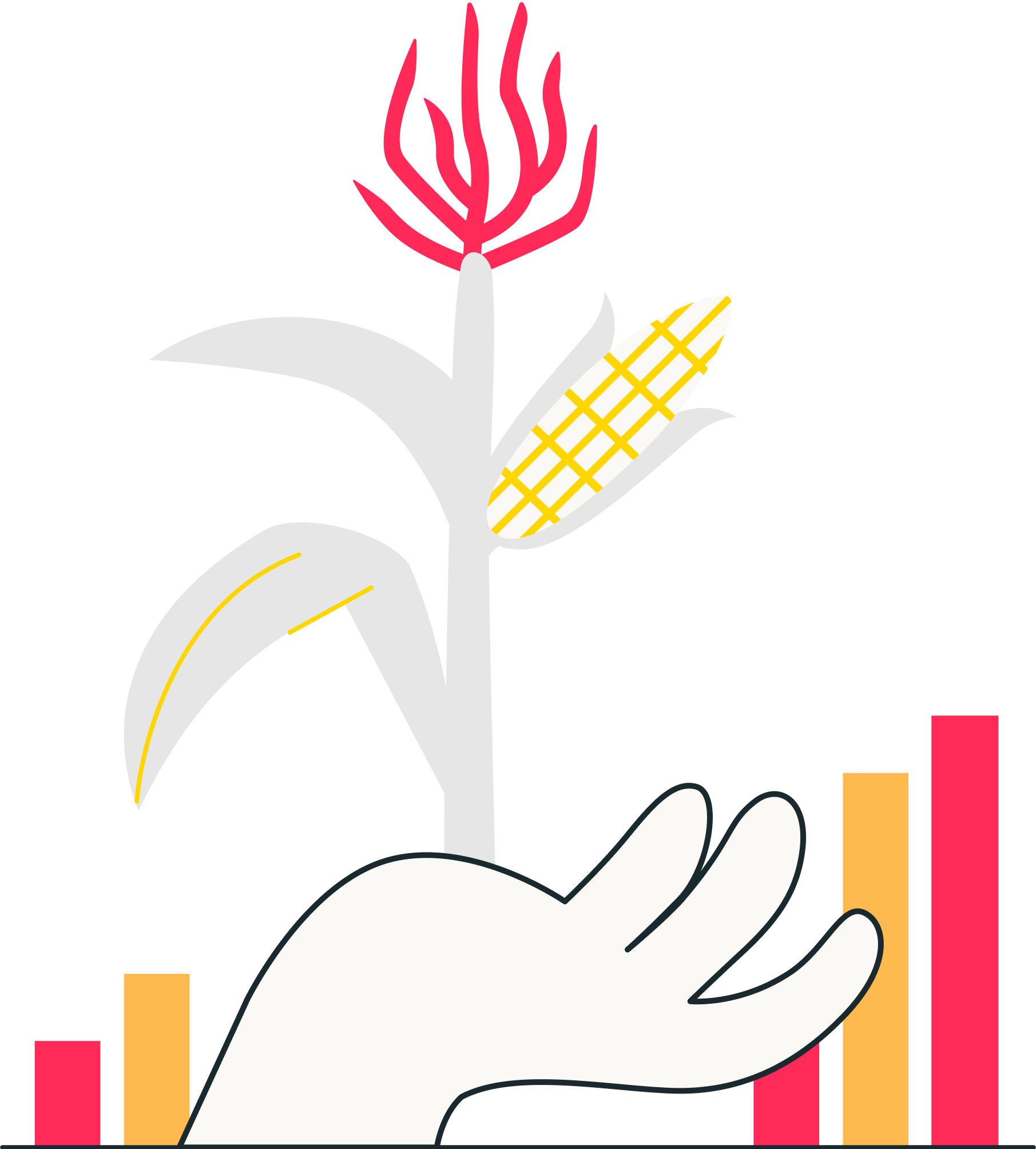 Ground up illustration